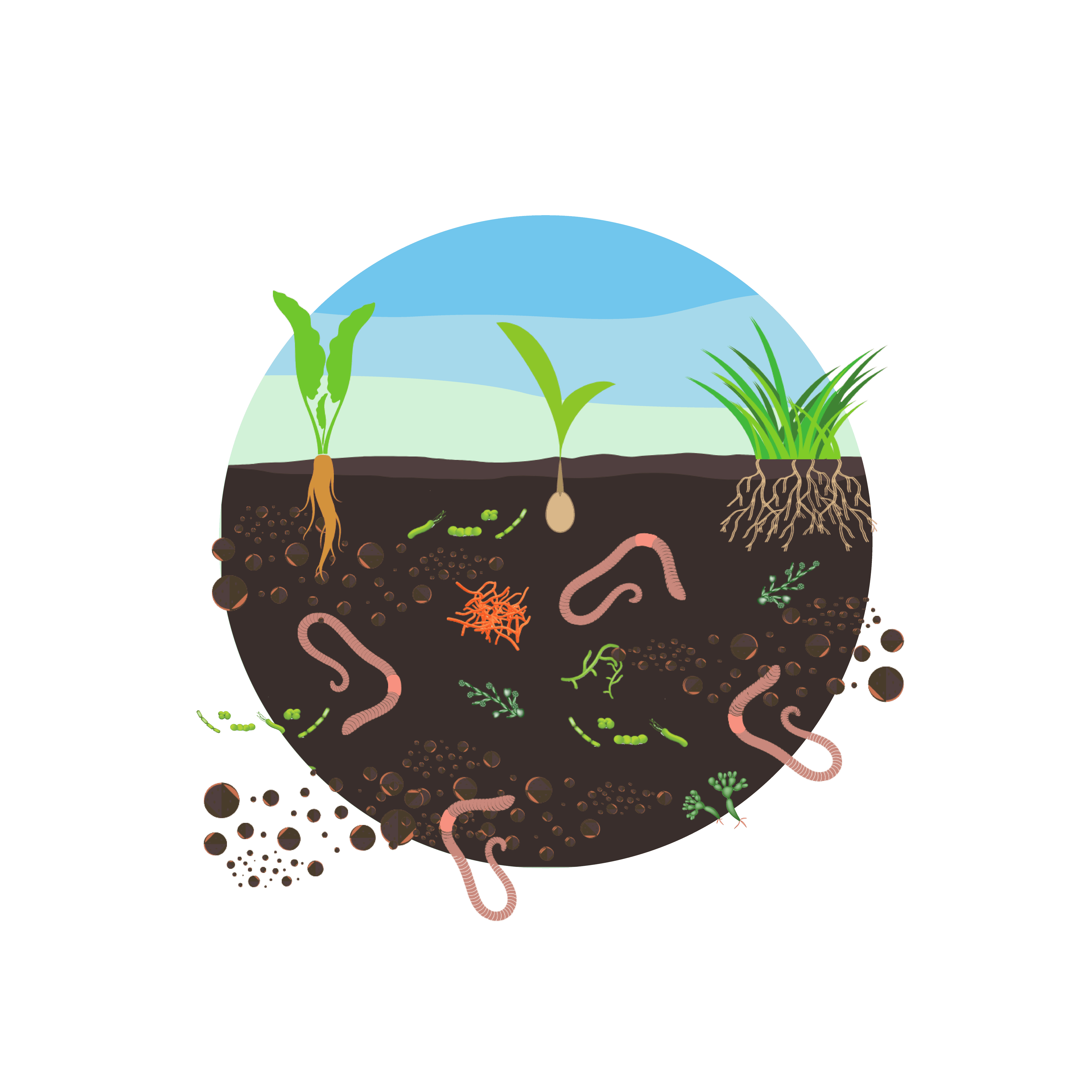 Earthfort Soil Health Icons Improved Nutrients